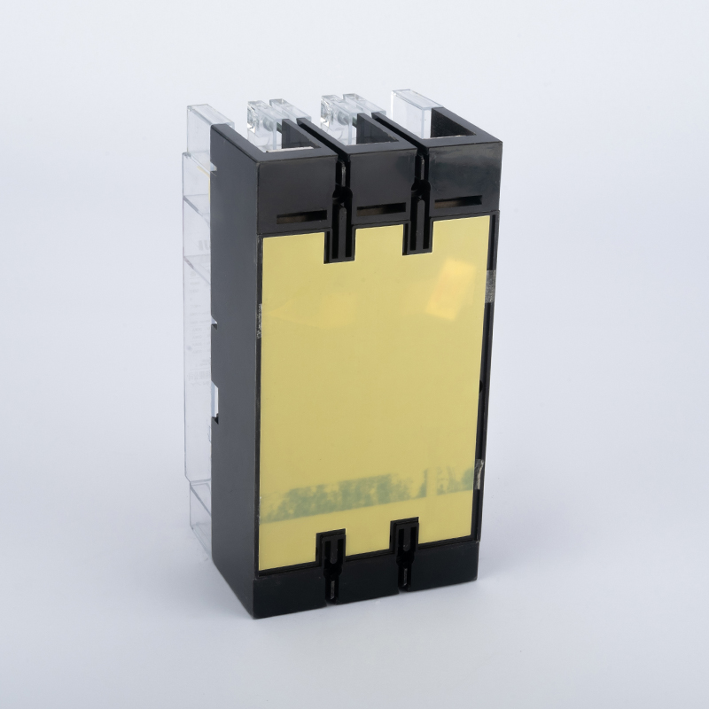 DZ20C-250T-3300 transparent plastic-case circuit breaker