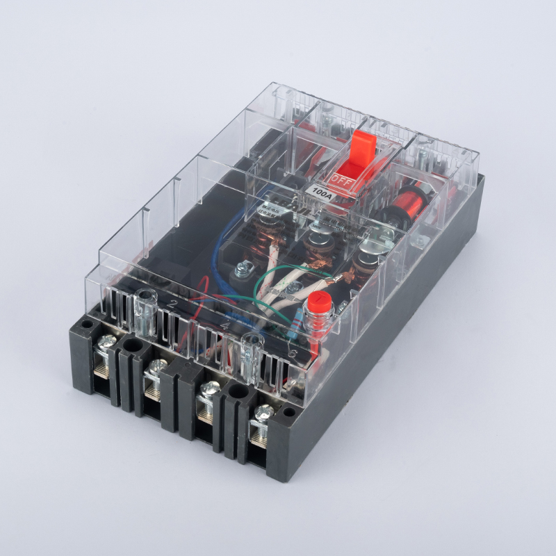 DZ15LE-100T-3N901 transparent leakage circuit breaker