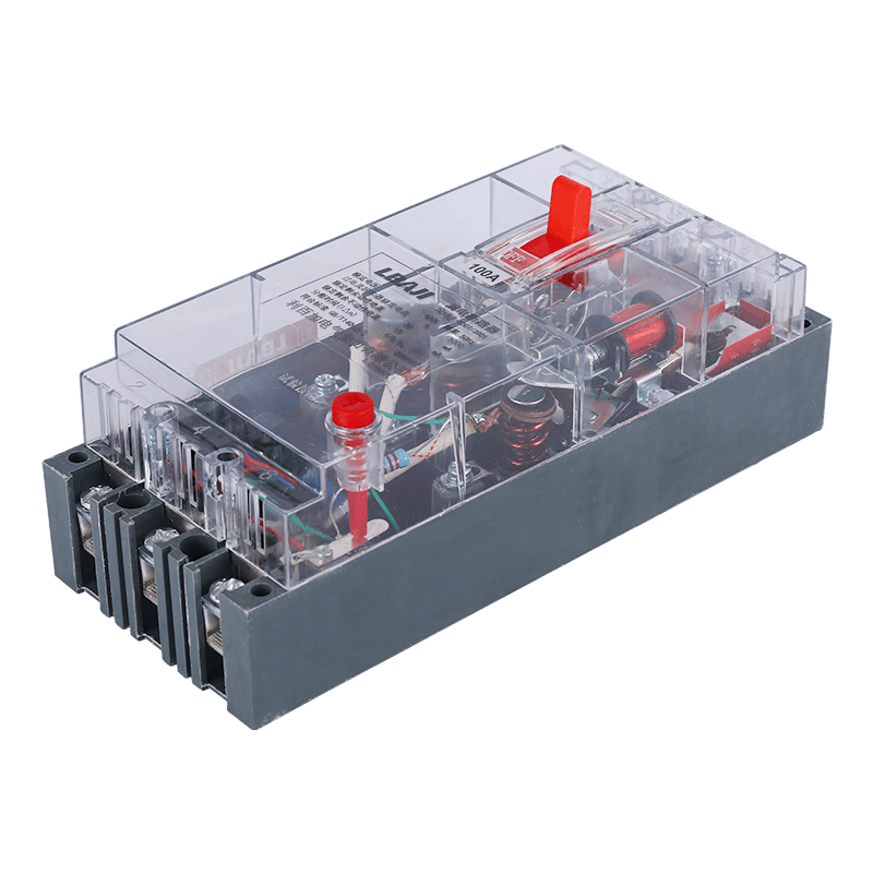 DZ15LE-100T/3901 leakage circuit breaker